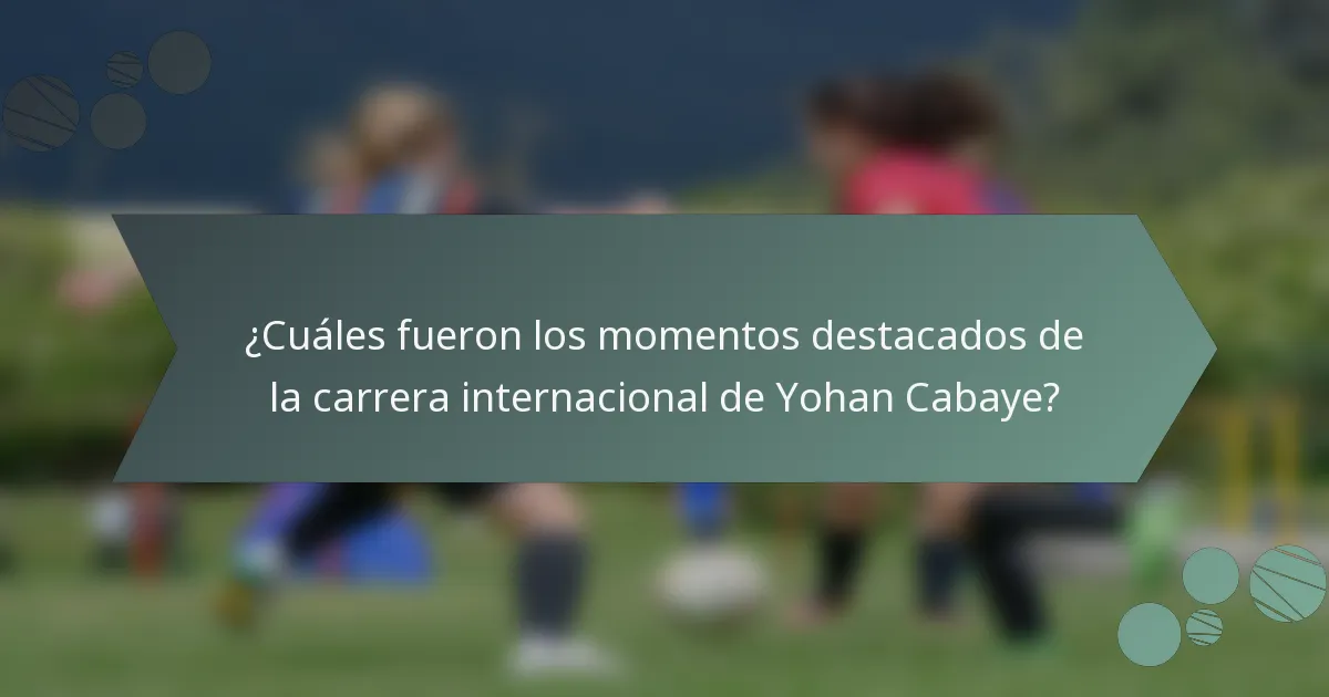 ¿Cuáles fueron los momentos destacados de la carrera internacional de Yohan Cabaye?